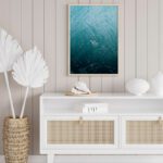 montage dolphins